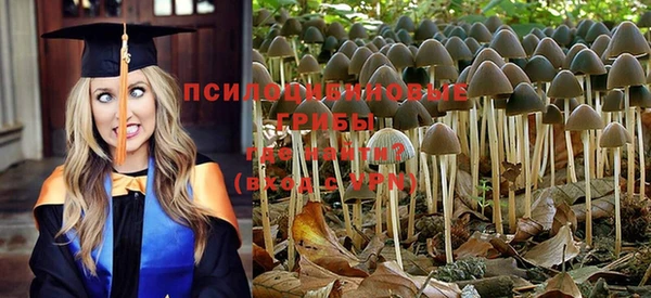 каннабис Белокуриха
